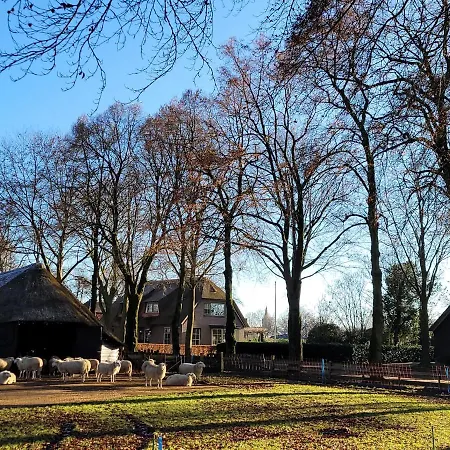 Teun Holiday home Elspeet