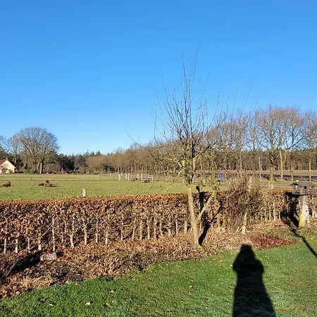 Casa de Férias Teun *