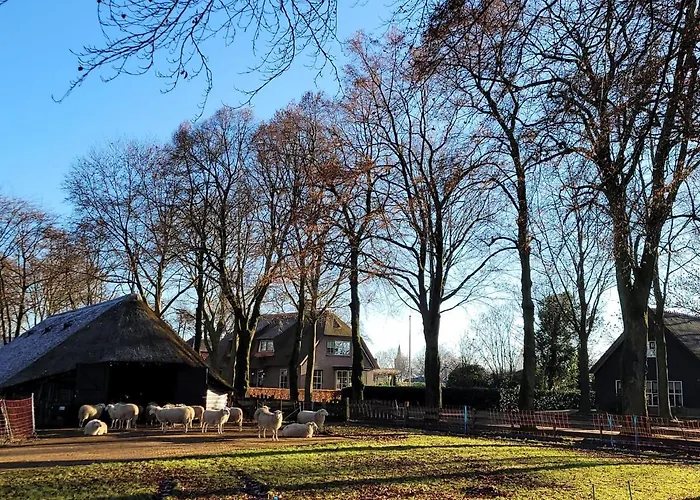 Teun Casa de Férias Elspeet