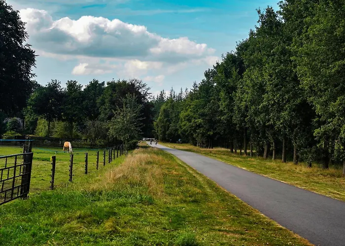 Hébergement de vacances Teun *